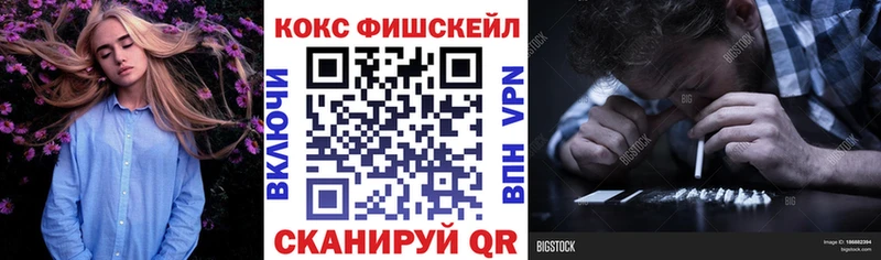 Кокаин Fish Scale  Купить закладки  Козьмодемьянск 