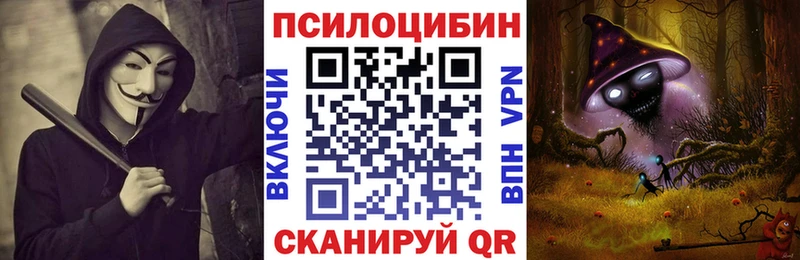 Галлюциногенные грибы Cubensis  Купить где  Козьмодемьянск 