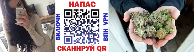 Купить  Козьмодемьянск  Бошки марихуана Amnesia 